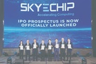SkyeChip bets on AI boom to drive move into high-end IC design