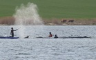 German rescuers haul ‘Timmy’ the whale into rescue barge