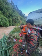 Eight boys rescued from Cameron Highlands water surge