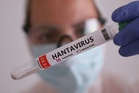 Chile says tourists not infected with hantavirus in the country