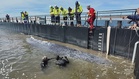 Humpback whale released into North Sea after rescue