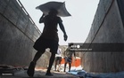India bans sugar exports until September