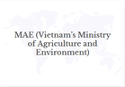 Economy, Science & Technology, And Environment: The Three New Pillars Of Vietnam – India Cooperation