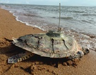 Hawksbill turtle carcass found on Melaka beach