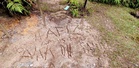 Ground inscription shows missing hiker reached Gunung Batu Putih summit