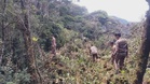 Search for missing hiker Jaslinda Saludin suspended on Gunung Batu Putih