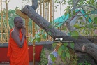 Senior Sri Lankan monk suspended over child sex abuse