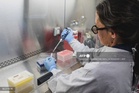 Two Singapore residents test negative for hantavirus