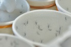 Putrajaya dengue cases drop 36.2% with Wolbachia