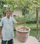 CAP slams “daylight robbery” as curry leaves prices soar to RM18 per kg