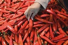 Mandatory CoA for five imported vegetables starts June 1