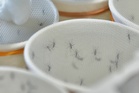 A safer, smarter vaccine to stop dengue deaths