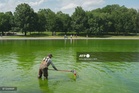 Algae turns Trump’s reflecting pool green