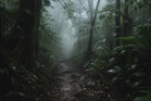 Vanishing trails, unseen voices and the legend of the Orang Bunian