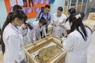 Smuggled dinosaur fossils return to Mongolia after two decades