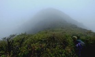 Perak forestry dept bans compressed hikes on high-risk mountains