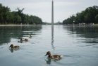 Trump threatens prison for damage to Washington Reflecting Pool