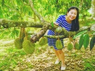 How a Penang family’s orchard became a living archive of memories