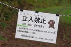 Bear attack in Japan leaves four injured in Fukushima