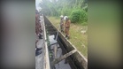 10-foot crocodile trapped in Banting drain captured