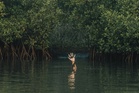 Teen with learning disability found drowned in Sungai Kedah