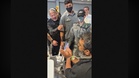 Italy probe into Israel’s treatment of flotilla activists sparks spat