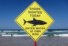 Shark attack kills diver off Western Australia coast