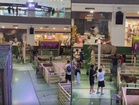 Public questions whether mall environment is suitable for zoo animals