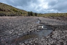 UN warns of strong El Nino developing soon