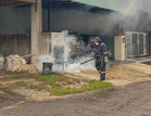 Dengue cases surge past 42,000 as deaths rise to 34