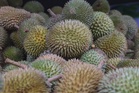 Durian trader forced to discard unsold spoiled fruits