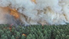 Major fire rages in Fontainebleau forest near Paris