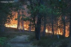 Fire erupts near main highway south of Paris