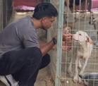Pawfund for Janaki seeks public support to care for 62 rescued street dogs