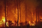 France forest fire slows as heatwave looms