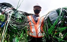 Full signal, no internet: Communications Ministry explains why connectivity drops despite strong bars