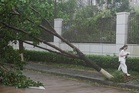 Bavi downgraded to severe tropical storm after landfall