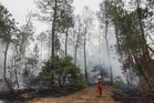 France fire situation ‘remains very unfavourable’: interior minister