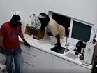 Three masked men caught on CCTV squeezing through kitchen window during Muar house break-in