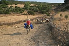 Tunisia heatwave blackouts fuel anger as power cuts soar