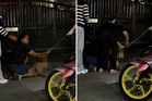 Klang city council volunteer, housewife deny dog cruelty charge