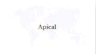 Apical Strengthens Collaboration to Prevent Stunting Through Nutritious Menu Creation Competition