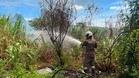 Bomba padam kebakaran hutan lebih dari dua hektar di Pelabuhan Klang