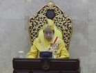 Sultan Selangor: Berbuat baik kepada semua haiwan