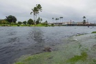 Tropical Storm Lala lashes Hawaii with heavy rain