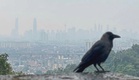 Unhealthy air quality recorded in 17 areas this morning