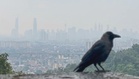 31 areas with unhealthy air quality at 9 am