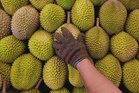 New deal aims to speed up Malaysian durian exports to China