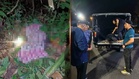 Orang Asli man found dead near Perak logging road, suspected tiger attack