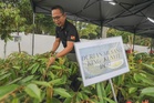 Govt considers RM425.65m agro-commodity initiatives for Budget 2027: Anwar